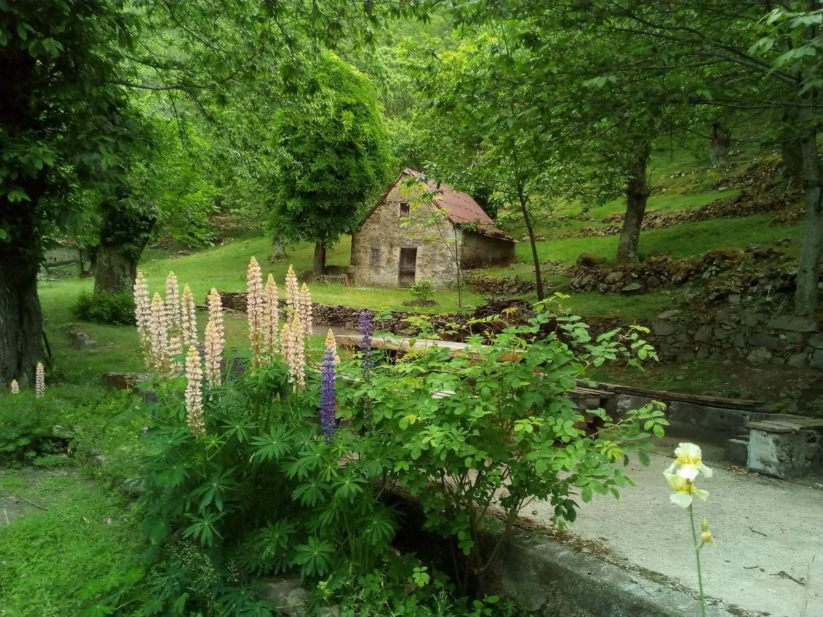 Casa Vacanze Le Muse Sillico Pieve Fosciana بيت للعطل